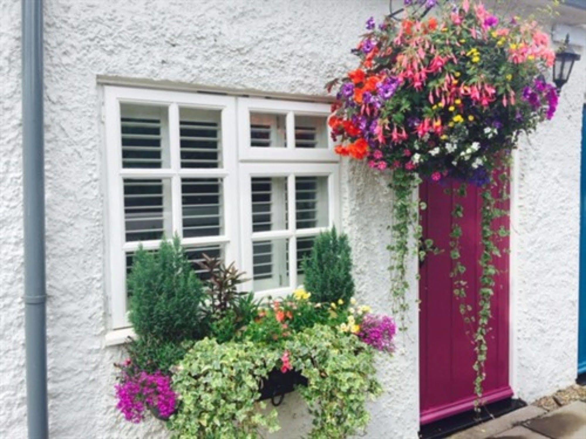 The Swan Inn Nantwich Exteriör bild